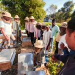 मधुमक्खी पालन से खुला किसानों के आर्थिक समृद्धि का द्वार