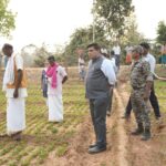 किसानों के खेतों में उतरे कलेक्टर के कदम, मूंगफली-उड़द और मक्का की फसल का किया अवलोकन