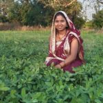 बालको की पहल से मूंगफली बनी किसानों की आय बढ़ाने का सशक्त माध्यम