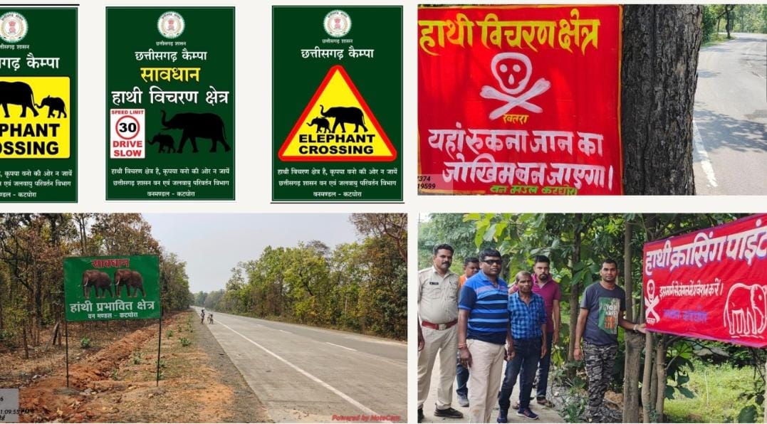 कोरबा का मानव-हाथी प्रबंधन मॉडलः तकनीक, जनभागीदारी और संवेदनशील प्रशासन से बन रही नई मिसाल