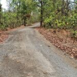 मुख्यमंत्री ग्राम सड़क योजना के तहत तीन ग्रामीण सड़कों के सुदृढ़ीकरण को मिली स्वीकृति